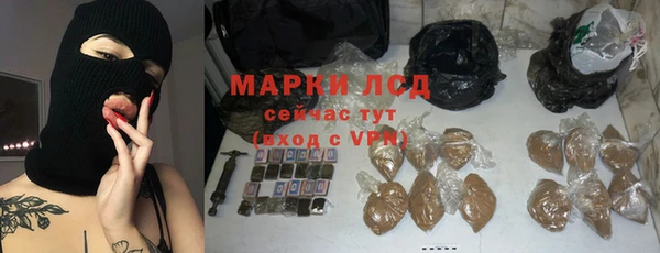 сатива Лабытнанги