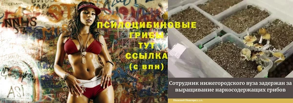 сатива Лабытнанги