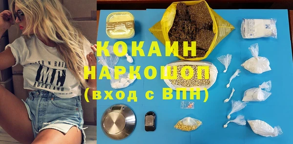 сатива Лабытнанги