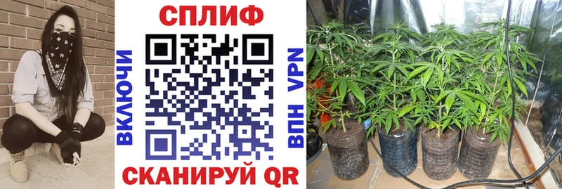 Каннабис Amnesia  Купить  Староминская 
